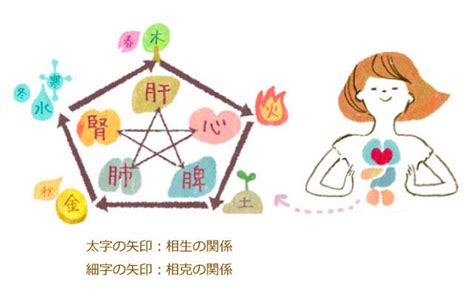 五行美人|五行診断